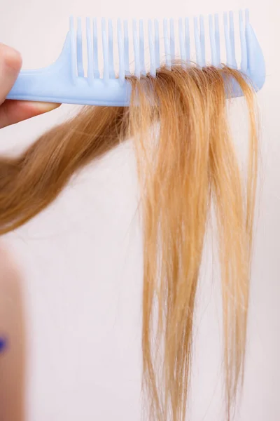 Haircare. Blonde girl showing her damaged dry hair ends on comb