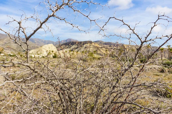 Paesaggio Nella Sierra Alhamilla Spagna — Foto Stock
