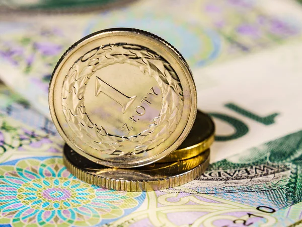 Moneda Polonia Primer Plano Pulir Muchos Billetes Una Moneda Zloty —  Fotos de Stock