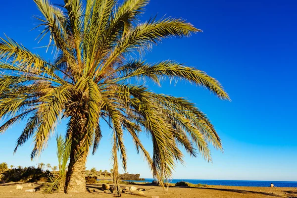 Playa Percheles Murcia Regione España Bahía Mazarrón Paisaje Costero Con — Foto de Stock