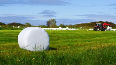 Agricultural landscape with straw packages on field. Cereal bale of hay wrapped in plastic white foil, summer in norwegian country, Lofoten clipart