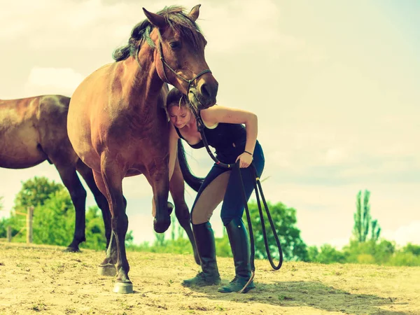 Amor Animal Humano Conceito Equino Mulher Hóquei Cuidando Cavalo — Fotografia de Stock