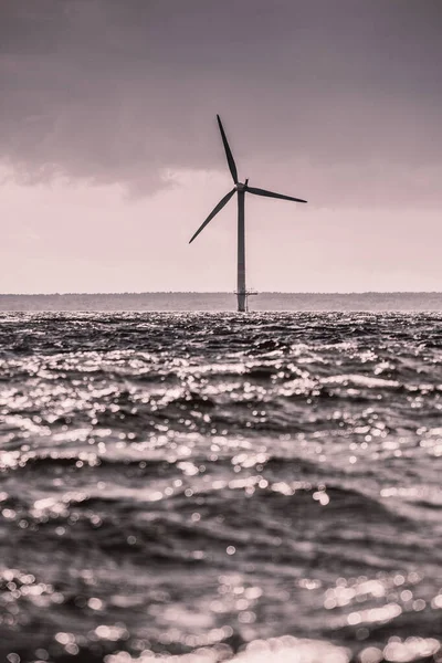 Danimarka Yakınlarındaki Kıyı Denizi Boyunca Yenilenebilir Sürdürülebilir Alternatif Enerji Üretimi — Stok fotoğraf