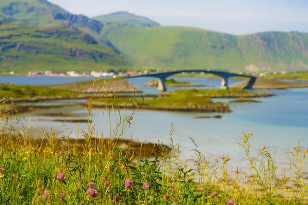 Paesaggio Panoramico Norvegese Sull Arcipelago Lofoten Strada Ponte Che Collegano — Foto Stock