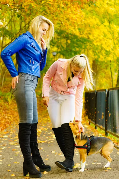 Twee Vrienden Vrouwen Dragen Modieuze Kleding Tijdens Het Wandelen Met — Stockfoto