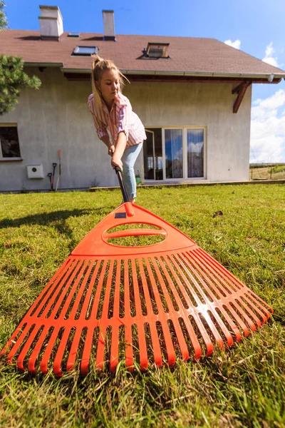 Unusual angle of woman raking leaves using rake. Person taking care of garden house yard grass. Agricultural, gardening equipment concept.