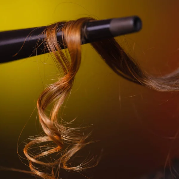 发型师在家的概念 铁皮卷子上的褐色头发 工作室拍摄黑暗的彩色背景 — 图库照片