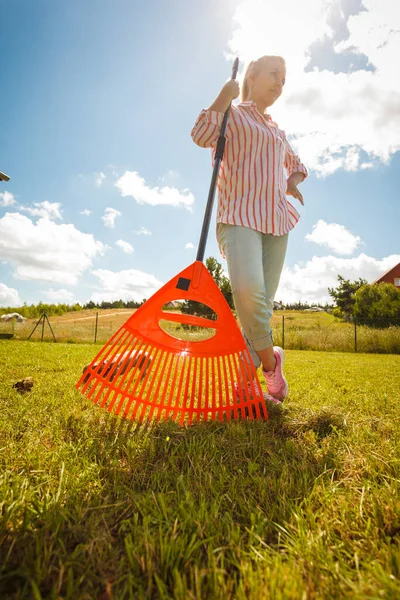 Unusual angle of woman raking leaves using rake. Person taking care of garden house yard grass. Agricultural, gardening equipment concept.