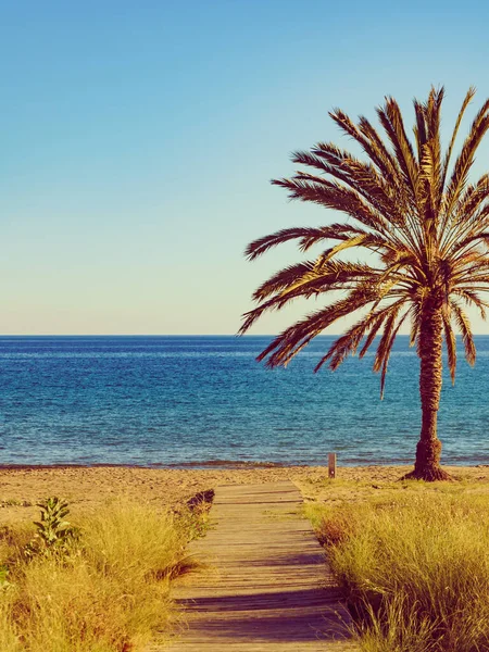 Stranden Percheles Murcia Regionen Spanien Mazarron Bay Kustlandskap Med Palmer — Stockfoto