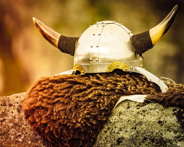 Equipamento Viking Guerreiro Bárbaro Livre Natureza Capacete Viking Pele Marrom — Fotografia de Stock