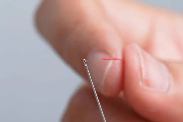 Close up hand holding the red threaded with stitching needles. Select focus shallow depth of field and blurred background with copy space.