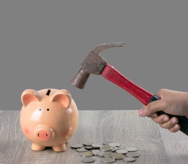 Bir kadın bir kumbara yığın sikke ve gri arka plan ile ahşap tabloda parçalamak için paslı bir çekiç tutar.