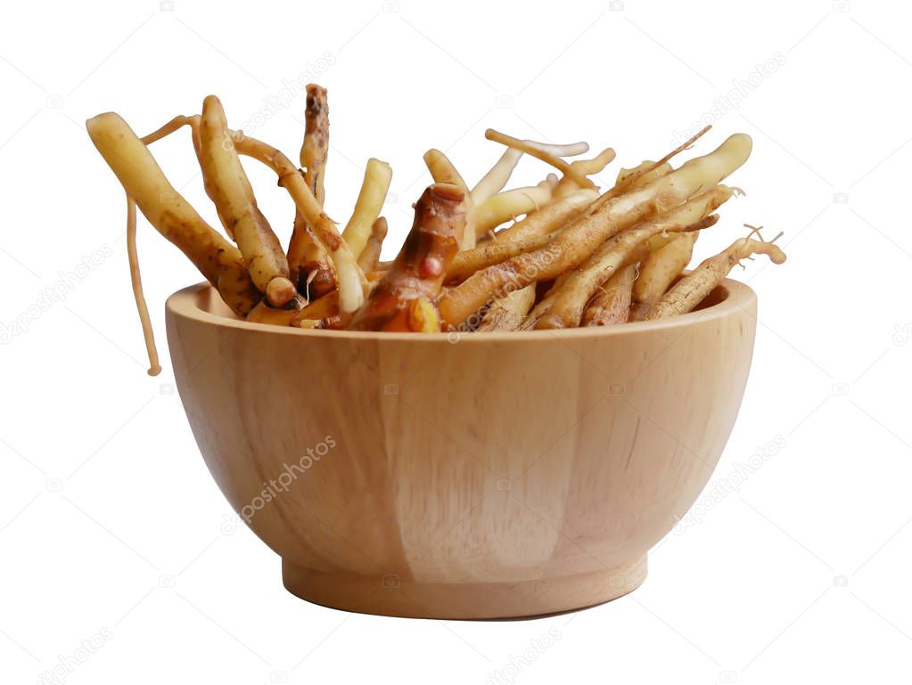 Boesenbergia rotunda (L.) Mansf. (Finger Root) in the bowl on white Background with clipping paths. Medicinal Used Rhizome : treatment of oral diseases such as aphthous ulcer and dry mouth, stomach discomfort and leukorrhea; diuretic, antidysenteric