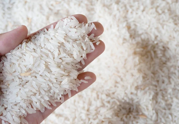 Rice Hand Blurred Background Copy Space — Stock Photo, Image