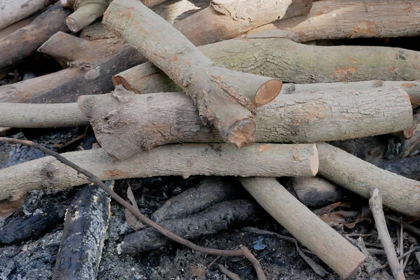 Dřevo Dřevěné Uhlí Kmeny Větve Palivové Dříví — Stock fotografie