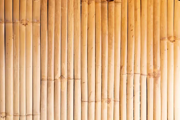 Fondo Bambú Dispuesto Verticalmente — Foto de Stock