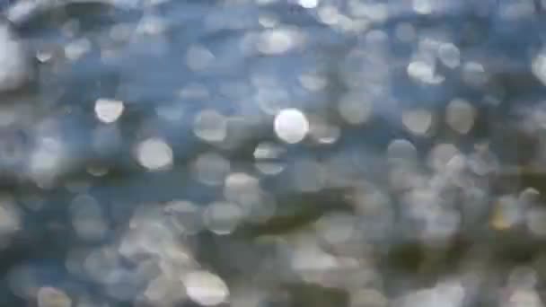 Bokeh Sfondo Sfocato Acqua — Video Stock