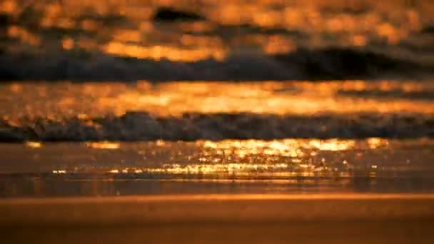 Silhouette Spielt Auf Dem Meer Mit Verschwommenem Und Bokeh Hintergrund — Stockvideo