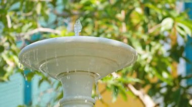 Güvercin çeşme kadar uçtu