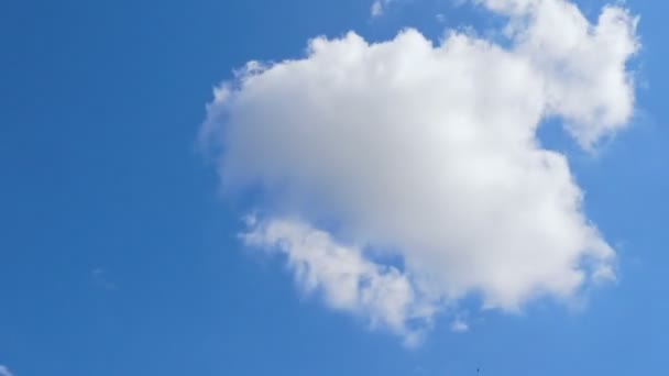 多云在蓝天上移动 — 图库视频影像