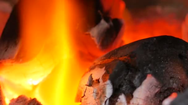 Fechar Fogo Sobre Carvão Vegetal Está Crescendo Com Borrado — Vídeo de Stock