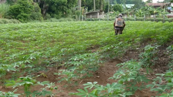 Hombre Está Rociando Yuca — Vídeos de Stock