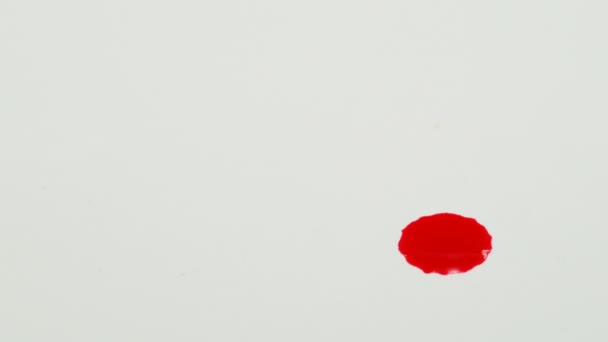 Rote Farbe Tropfen Auf Weißem Hintergrund — Stockvideo