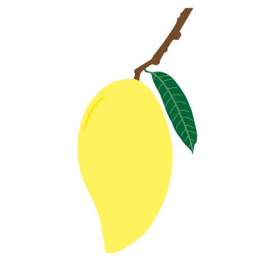 Olgun mango ve yaprak şubesi ile. Yaz meyve sağlık ve yaşam tarzı için. İllüstrasyon vektör simgesi.
