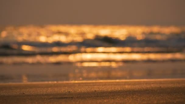 Close Gouden Zee Golf Zandstrand Twilight Met Wazig Bokeh Achtergrond — Stockvideo