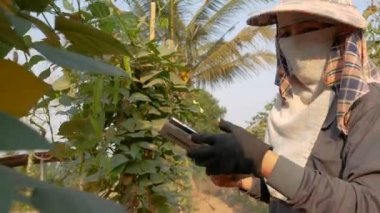 Çiftçiler tarımsal veri yardımcı olmak için teknoloji kullanma