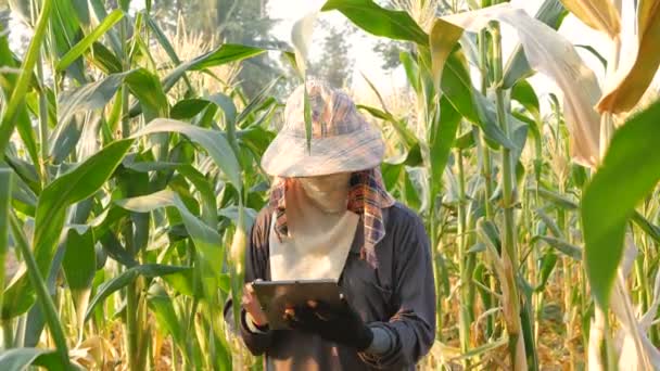 农民利用技术帮助记录农业信息 — 图库视频影像