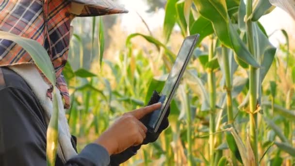 Vrouwelijke Landbouwers Groei Met Behulp Van Technologie Helpen Landbouw Recordgegevens — Stockvideo