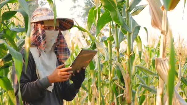 女农民正在拍摄农作物和生长记录 — 图库视频影像
