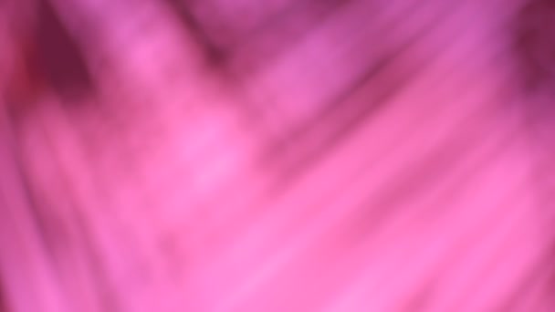 Аннотация Текстура Размыты Розовый Кокосовый Лист Фона — стоковое видео