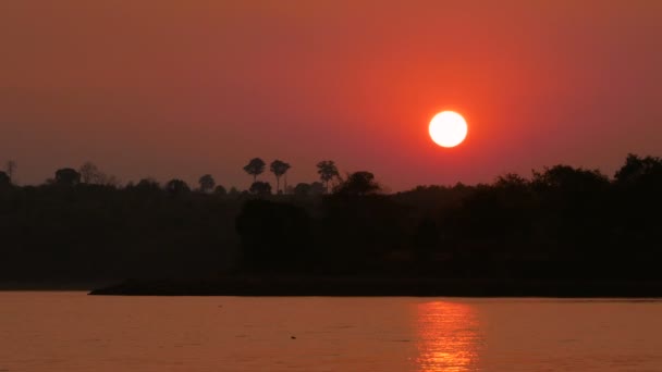 Time Lapse Tramonto Nella Foresta Nel Fiume Serata — Video Stock