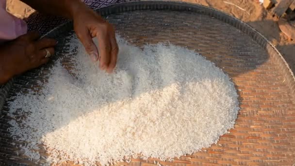 Old Woman Looking Impurities Rice — Stock Video