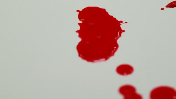Primo Piano Colore Rosso Cadere Sullo Sfondo Bianco — Video Stock