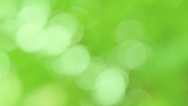 Groene Bokeh Onscherpe Achtergrond — Stockvideo