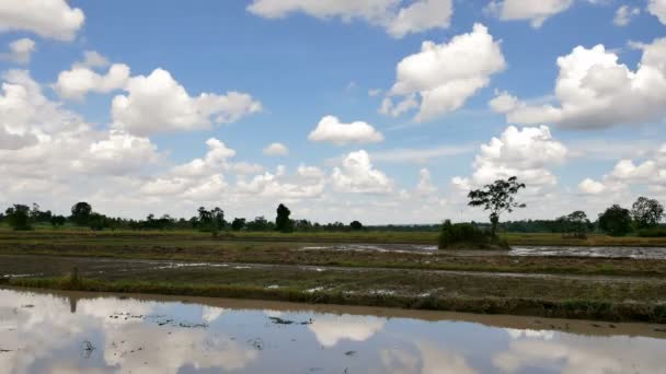 Timelapse Wolken Bewegen Lucht Reflectie Velden — Stockvideo