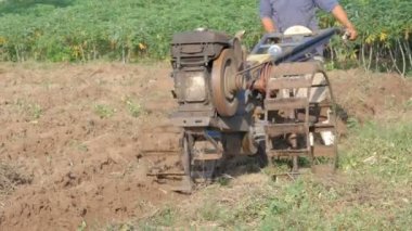 Yaşlı adam dikim için toprak ayarlamak için çiftlik pulluk küçük bir traktör kullanarak.