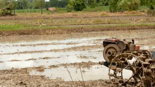 Vieil Homme Utilisant Petit Tracteur Pour Labourer Ferme Pour Ajuster — Video