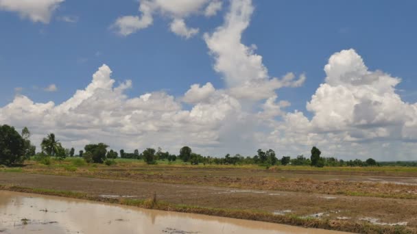 Tiempo Lapso Cielo Campos Con Agricultor Arando Para Ajustar Área — Vídeos de Stock