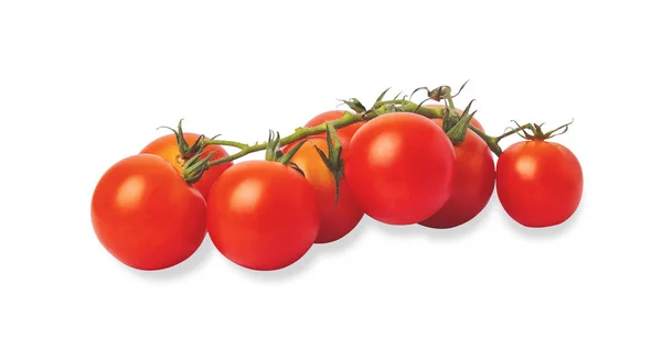 Tomat kelompok terisolasi pada latar belakang putih — Stok Foto