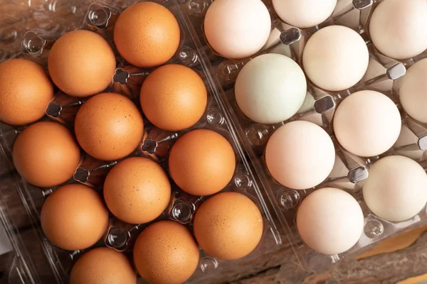 tavuk ve ördek tam çerçeve yumurtaları