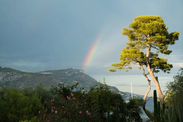 Gökkuşağı ağaçlarıyla kaplı Dağları'nda görünen ilham verici sahne. Arka planlar için tırnak. Seyahat, rüya, Inspiring kavramı