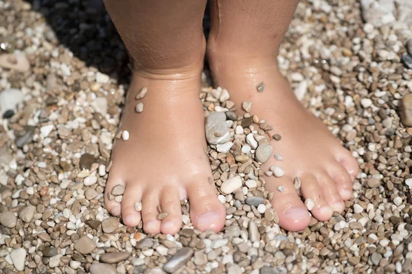 Kinder- en seastones. Travel concept Rechtenvrije Stockfoto's