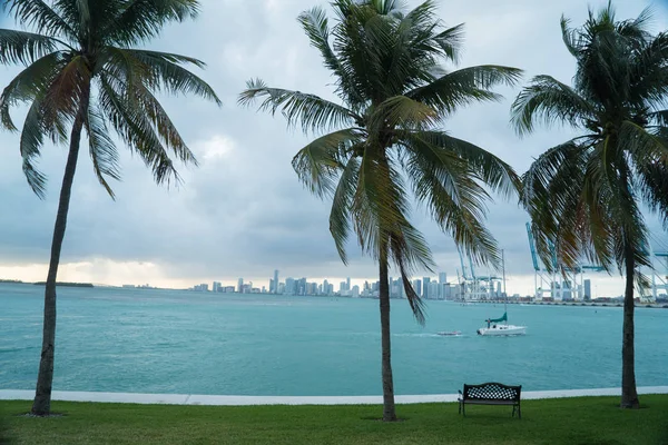 Telapak tangan di pantai. Latar belakang untuk kutipan Stok Foto Bebas Royalti