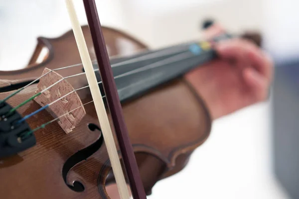 바이올린과 활 — 스톡 사진