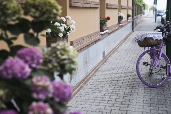 Een straat met bloemen en een oude decoratieve roze fiets — Stockfoto