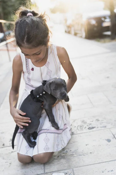 Black puppy playing with a girl — Stock Photo, Image